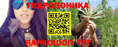 шишки Малоярославец