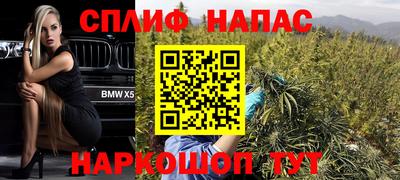 эйфоретик Малгобек
