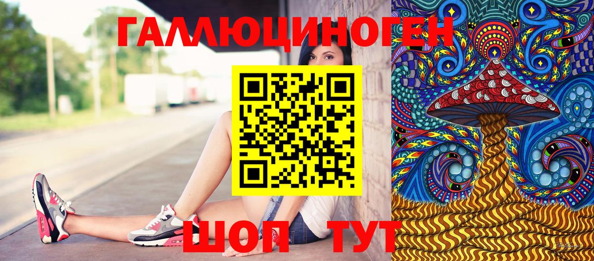 Галлюциногенные грибы Cubensis  Галлюциногенные грибы Magic Shrooms  Черногорск  где найти   Вход с VPN 